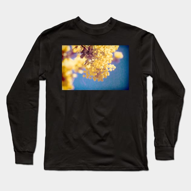 Wattle 3 Long Sleeve T-Shirt by DeborahMcGrath